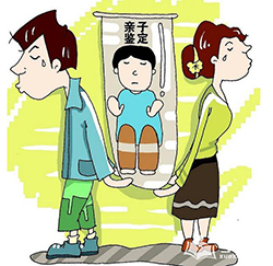 济南怎样私下做亲子鉴定，济南DNA鉴定办理流程