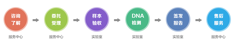 隐私亲子鉴定流程